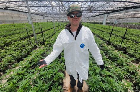 Vital Garden Supply Proves Organic Cannabis is Scalable